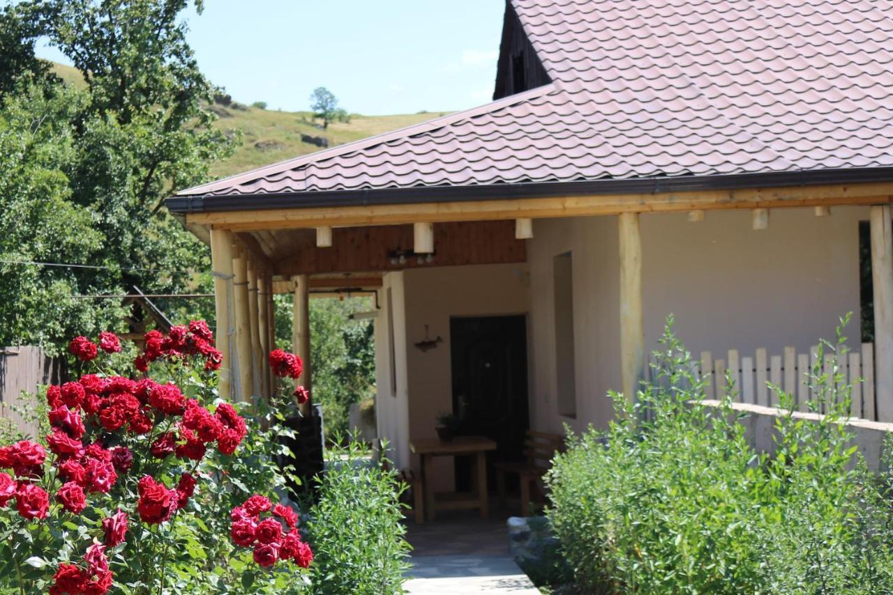 Villa Shamakhyan Dilidschan Exterior foto