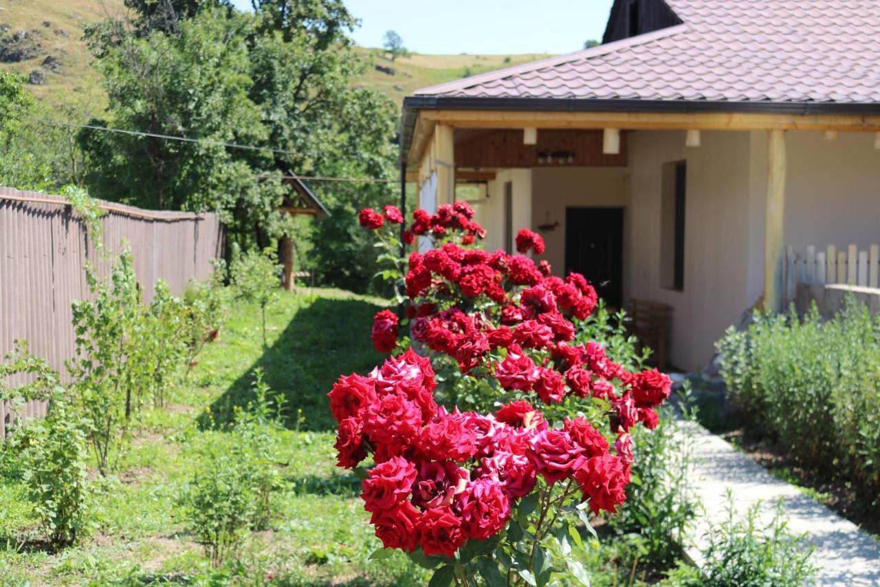 Villa Shamakhyan Dilidschan Exterior foto